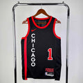 CHICAGO BULLS ROSE 1
